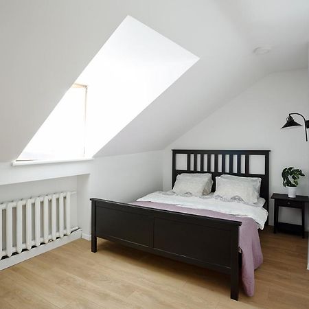 Baron'S Arthouse Apartment ヴィリニュス エクステリア 写真