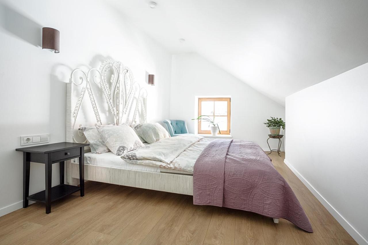 Baron'S Arthouse Apartment ヴィリニュス エクステリア 写真